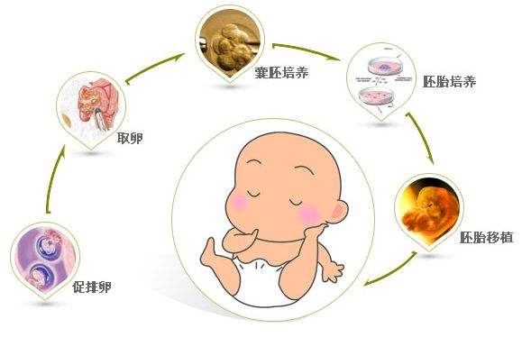 月经推迟了十几天没怀孕怎么回事 月经推迟十多天没来没怀孕怎么回事